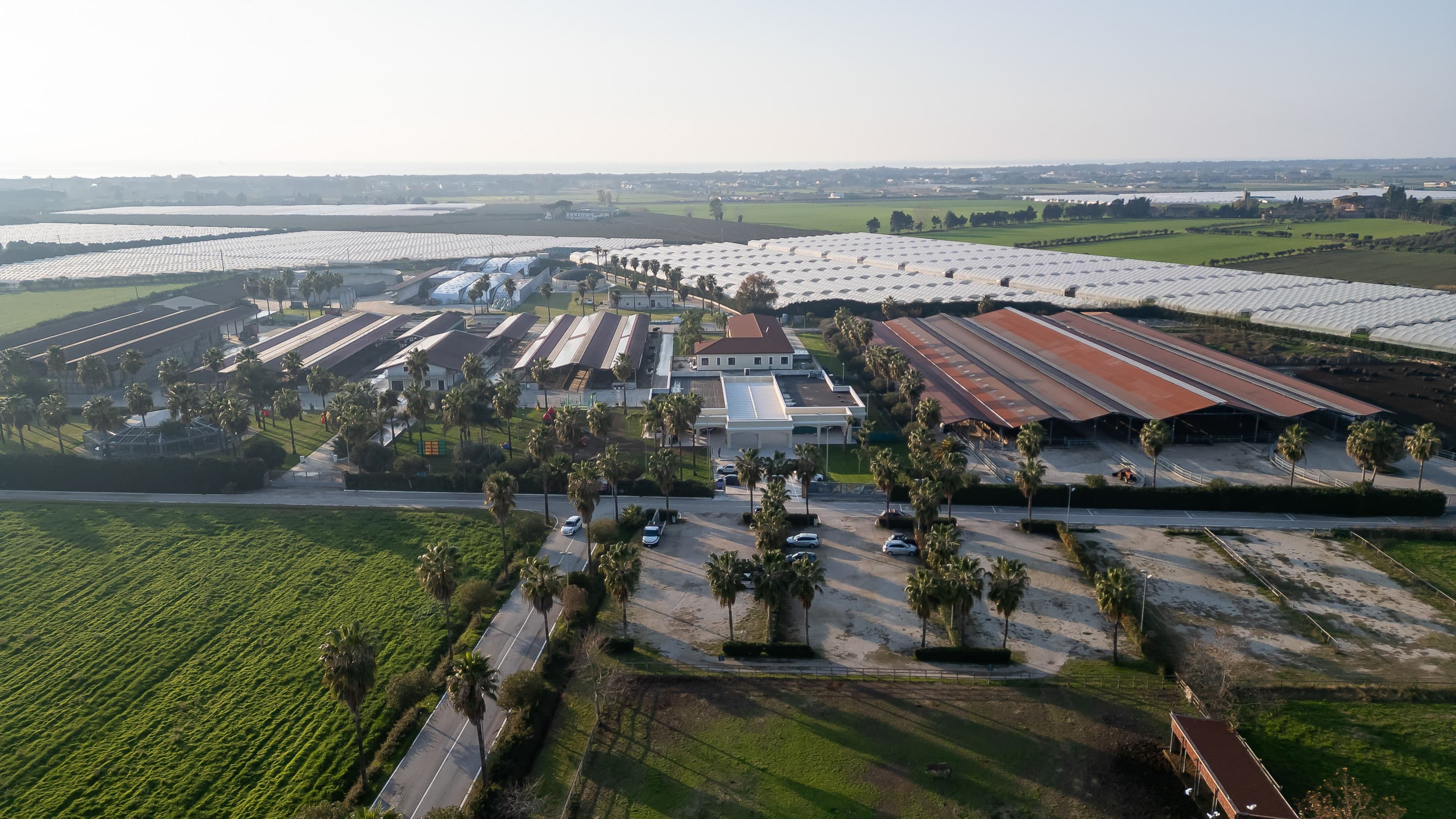 Vista dall'alto dell'Azienda Agricola Tempio